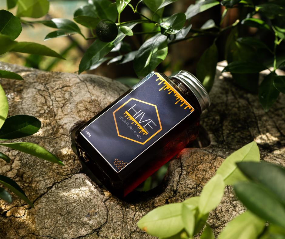 HIVE 100% Pure Honey 480g