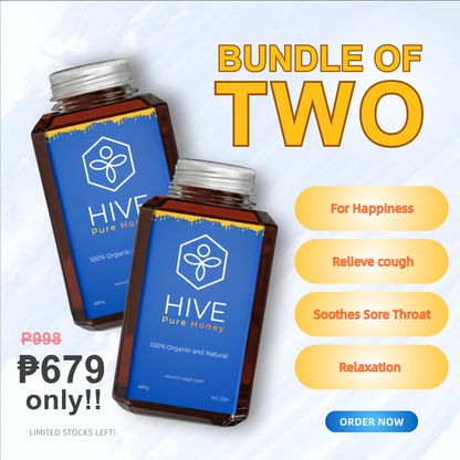 HIVE 100% Pure Honey 480g