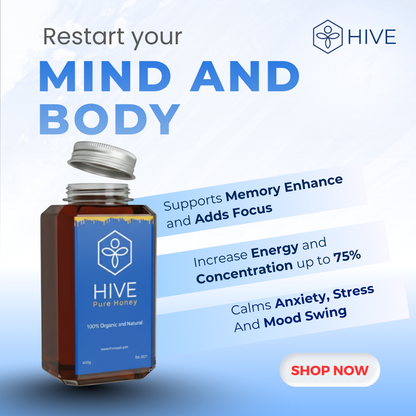 HIVE 100% Pure Honey 480g