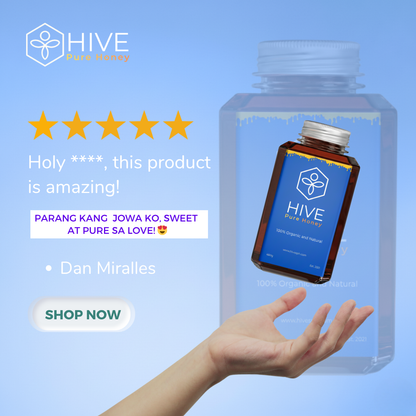 HIVE 100% Pure Honey 480g