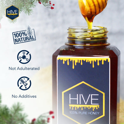 HIVE 100% Pure Honey 480g