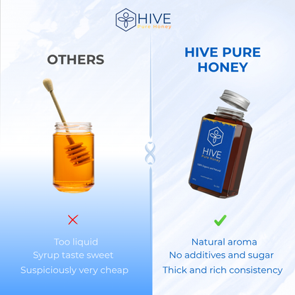 HIVE 100% Pure Honey 480g