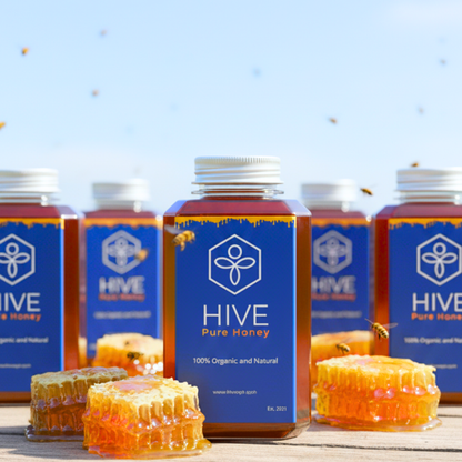 HIVE 100% Pure Honey 480g